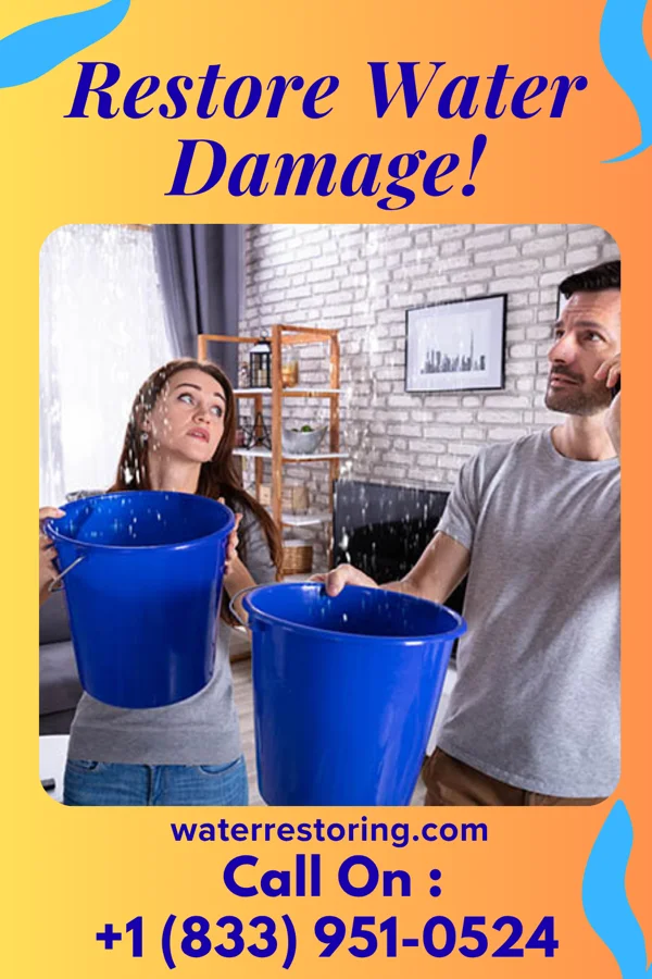 water restoration Eagle Flood Damage & Associates Winona