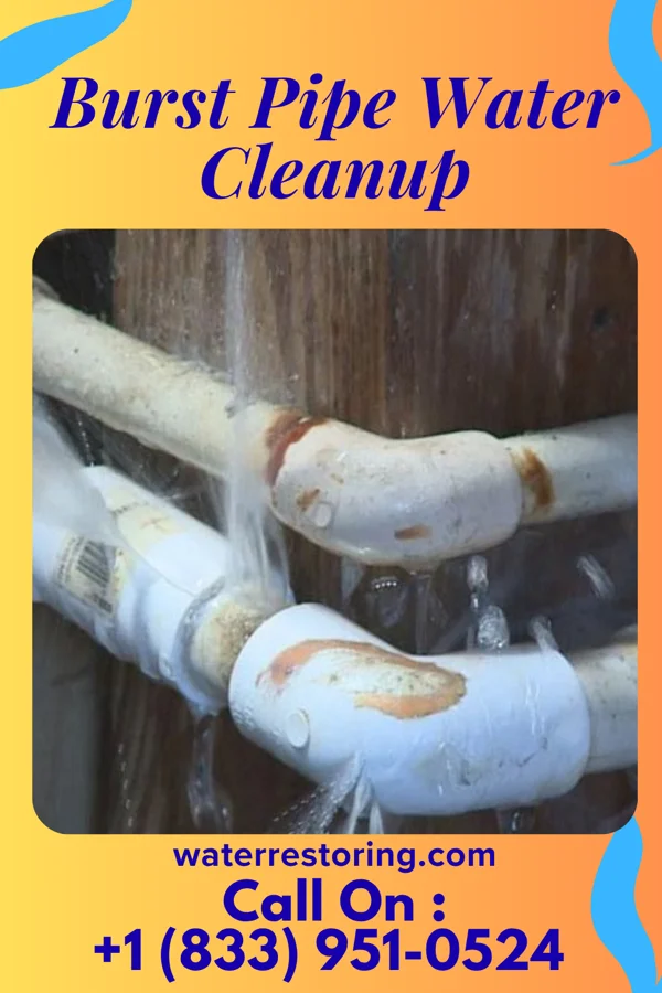 Burst Pipe Water Cleanup in Winona, MN