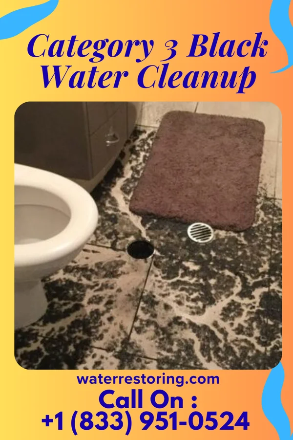 Category 3 Black Water Cleanup in Winona, MN
