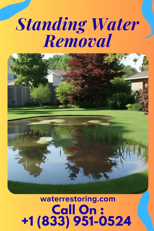 Standing Water Removal in Winona, MN